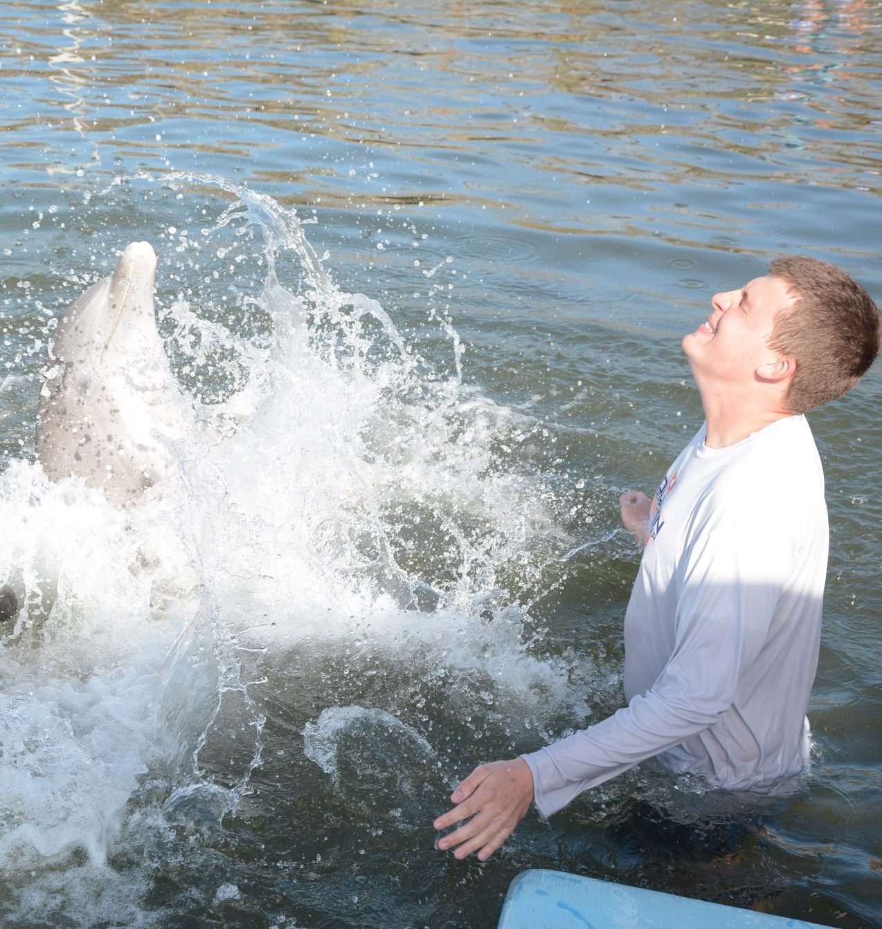 clayton playing with dolphins